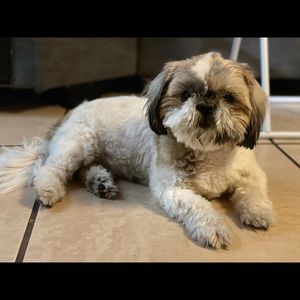 Meet your Posher, Mayte